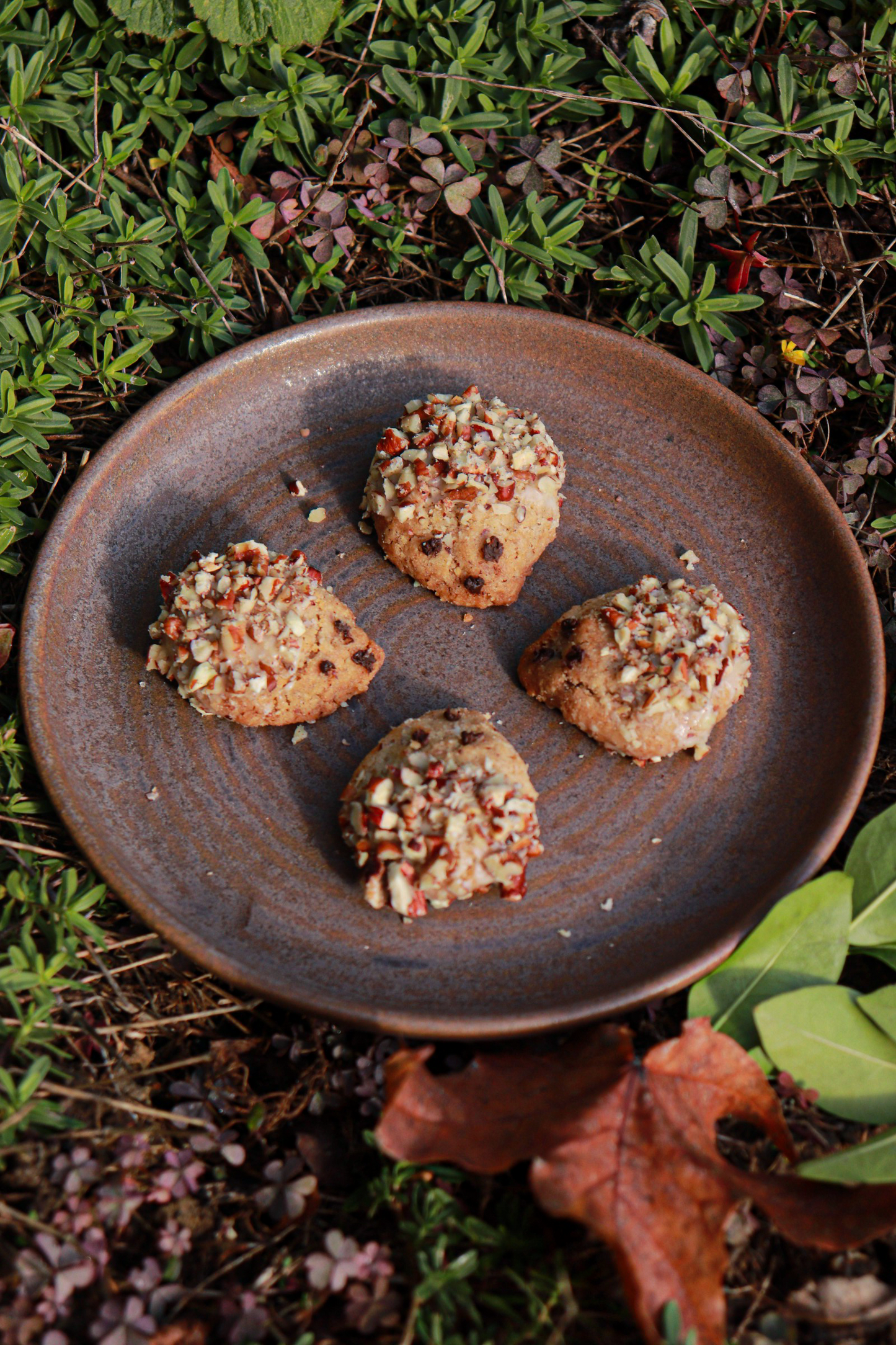 Herrissons érable/pécan (x4)